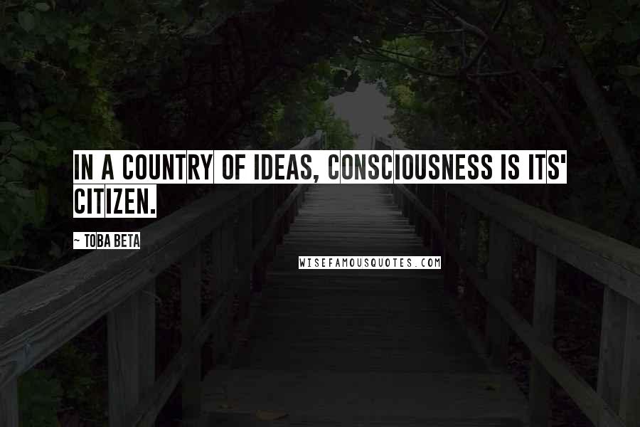 Toba Beta Quotes: In a country of ideas, consciousness is its' citizen.