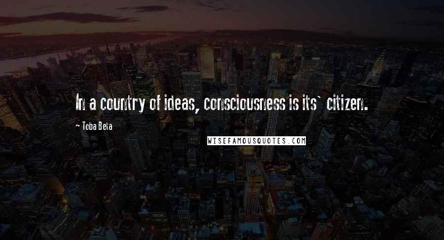 Toba Beta Quotes: In a country of ideas, consciousness is its' citizen.