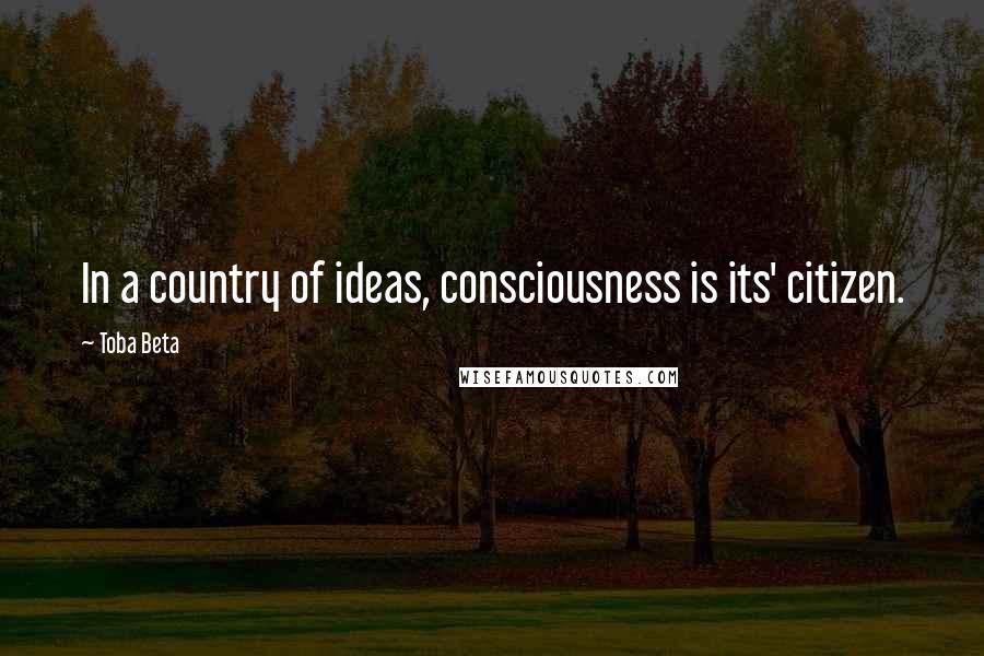 Toba Beta Quotes: In a country of ideas, consciousness is its' citizen.