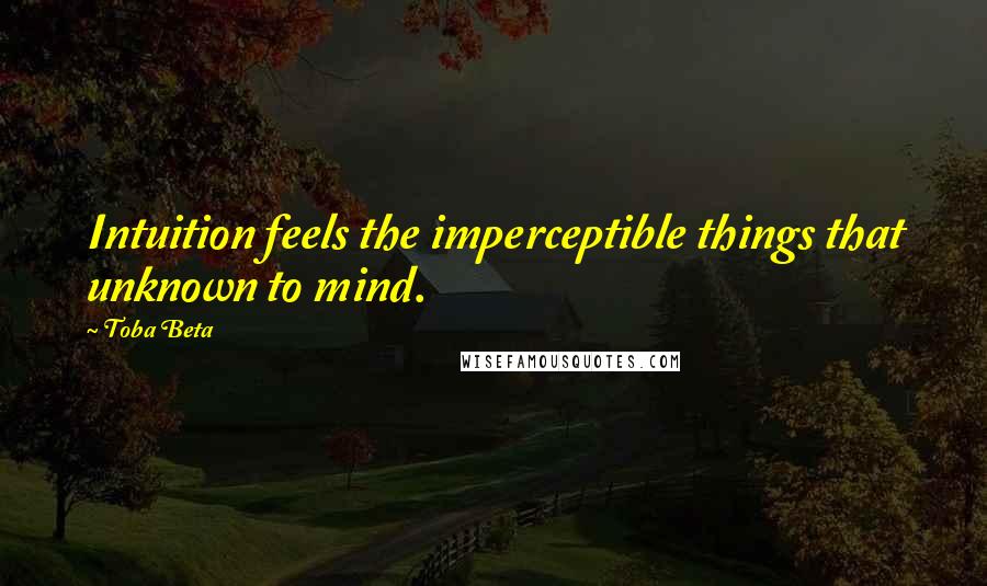 Toba Beta Quotes: Intuition feels the imperceptible things that unknown to mind.