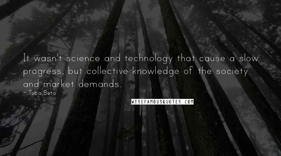 Toba Beta Quotes: It wasn't science and technology that cause a slow progress, but collective knowledge of the society and market demands.