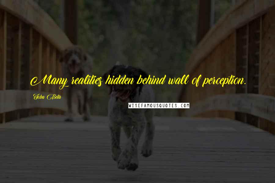 Toba Beta Quotes: Many realities hidden behind wall of perception.