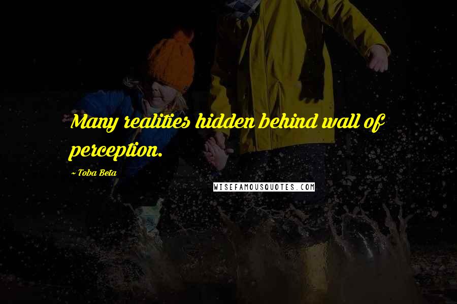 Toba Beta Quotes: Many realities hidden behind wall of perception.