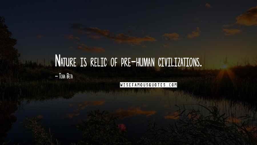Toba Beta Quotes: Nature is relic of pre-human civilizations.