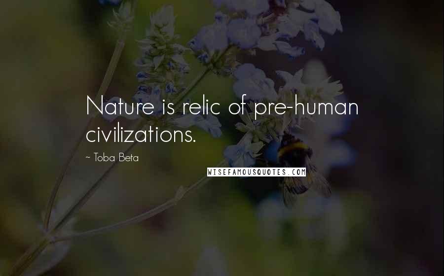 Toba Beta Quotes: Nature is relic of pre-human civilizations.