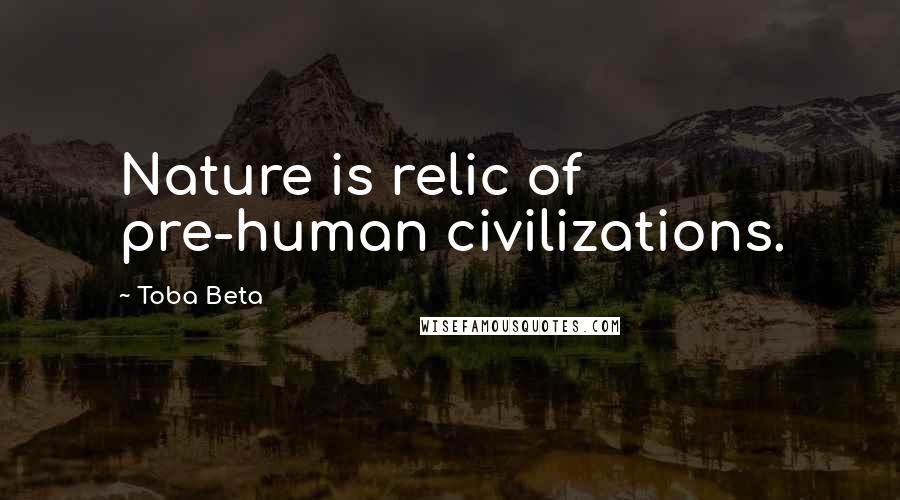Toba Beta Quotes: Nature is relic of pre-human civilizations.
