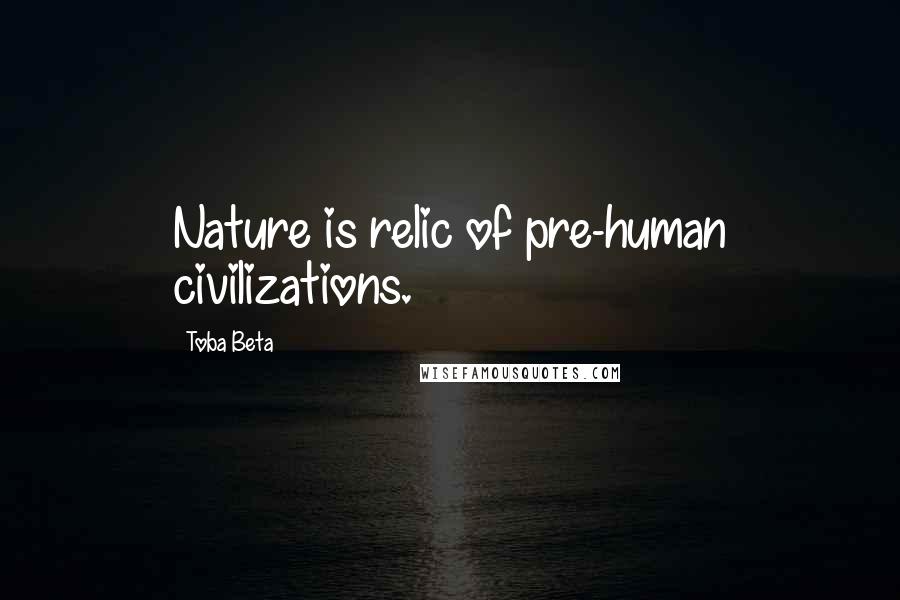 Toba Beta Quotes: Nature is relic of pre-human civilizations.