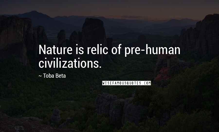 Toba Beta Quotes: Nature is relic of pre-human civilizations.