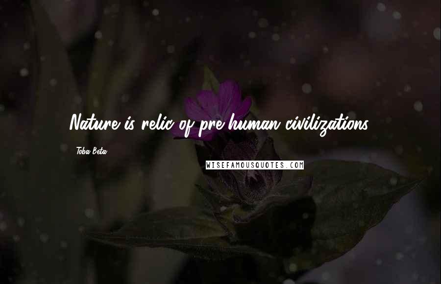 Toba Beta Quotes: Nature is relic of pre-human civilizations.