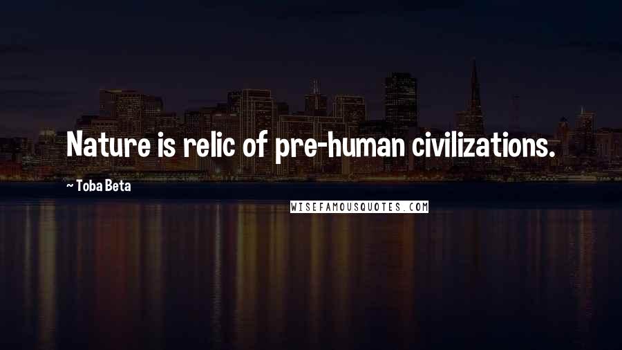 Toba Beta Quotes: Nature is relic of pre-human civilizations.