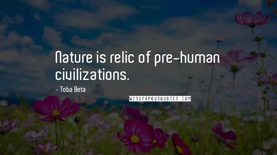 Toba Beta Quotes: Nature is relic of pre-human civilizations.