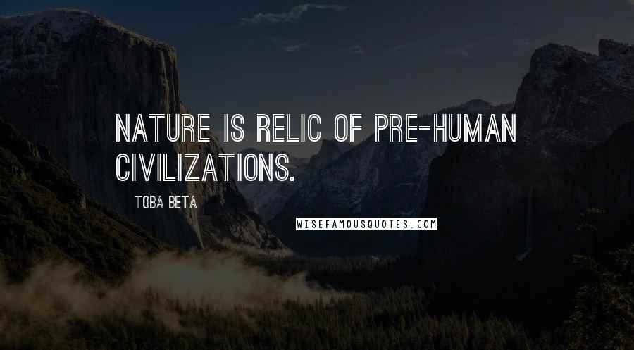 Toba Beta Quotes: Nature is relic of pre-human civilizations.