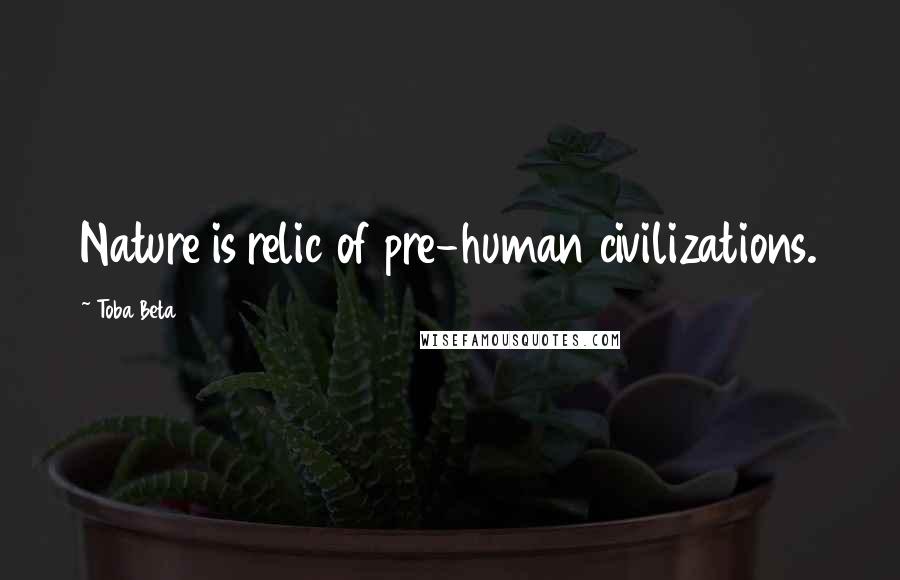 Toba Beta Quotes: Nature is relic of pre-human civilizations.