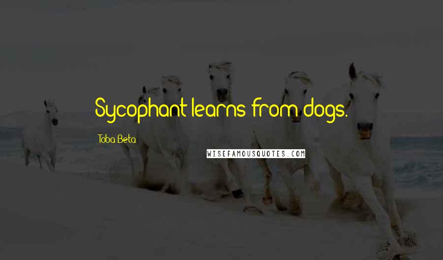 Toba Beta Quotes: Sycophant learns from dogs.