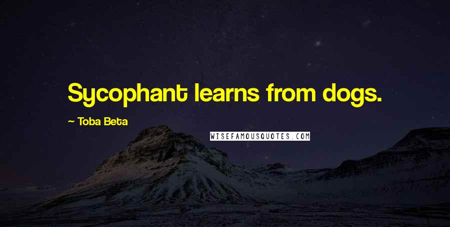 Toba Beta Quotes: Sycophant learns from dogs.