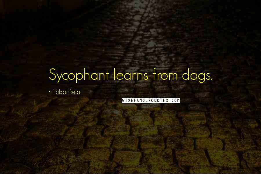 Toba Beta Quotes: Sycophant learns from dogs.