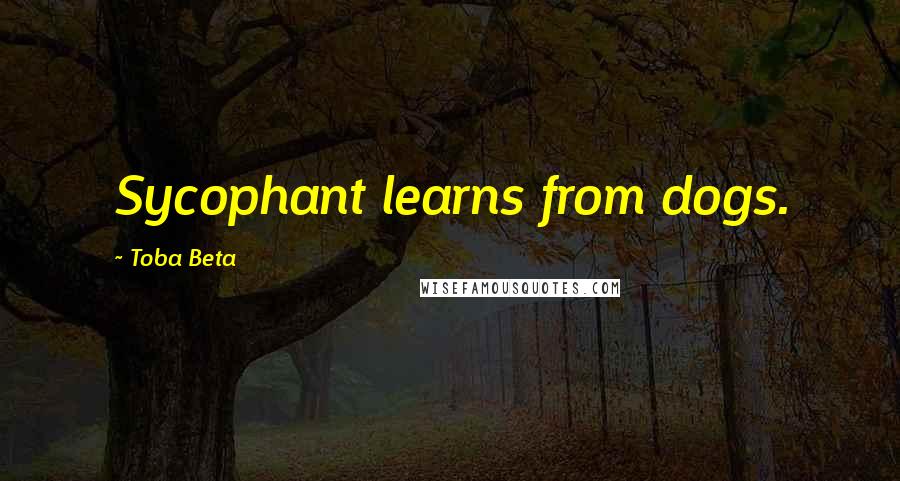 Toba Beta Quotes: Sycophant learns from dogs.