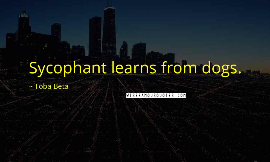Toba Beta Quotes: Sycophant learns from dogs.
