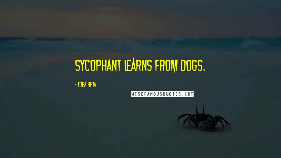Toba Beta Quotes: Sycophant learns from dogs.