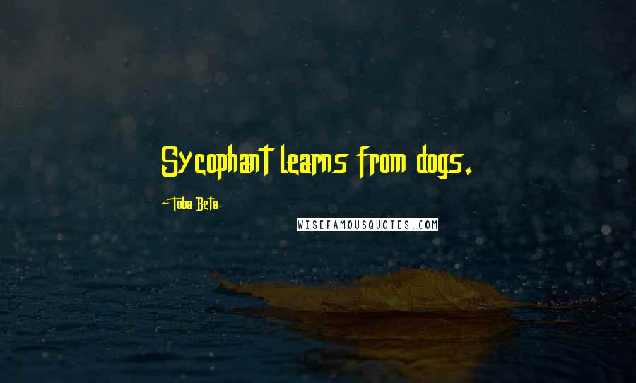 Toba Beta Quotes: Sycophant learns from dogs.
