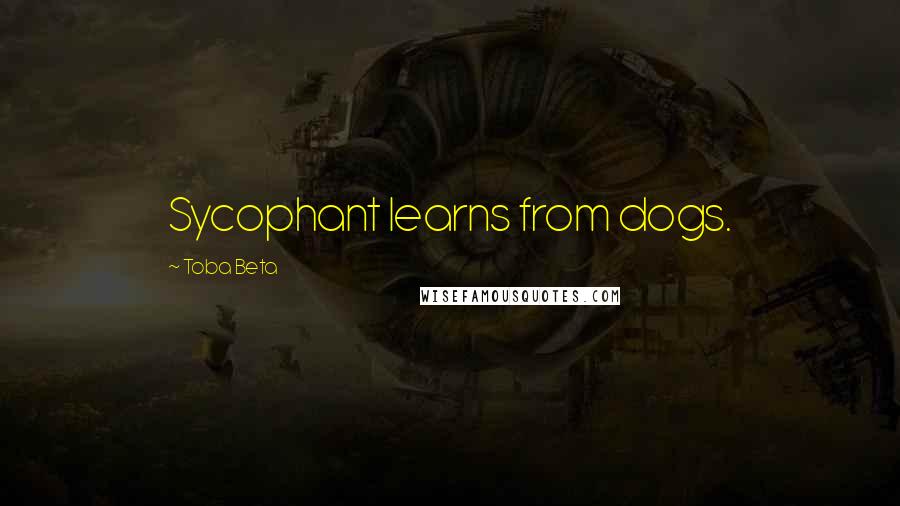 Toba Beta Quotes: Sycophant learns from dogs.