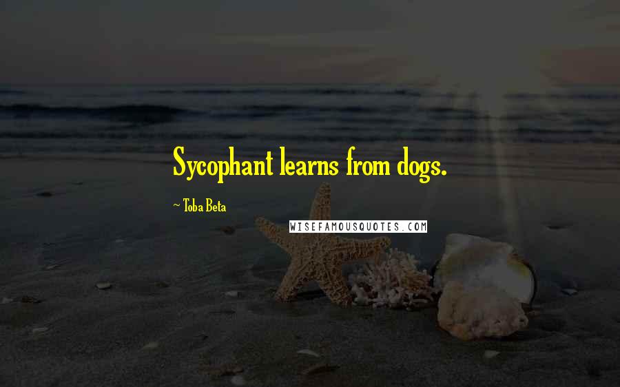 Toba Beta Quotes: Sycophant learns from dogs.