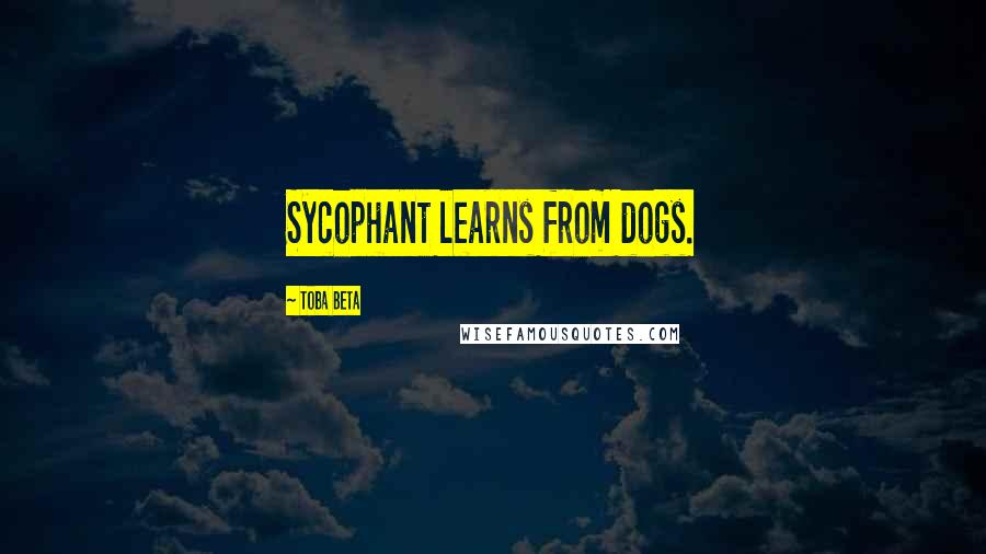 Toba Beta Quotes: Sycophant learns from dogs.