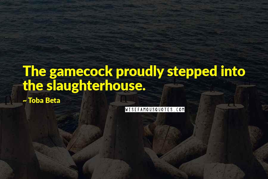 Toba Beta Quotes: The gamecock proudly stepped into the slaughterhouse.