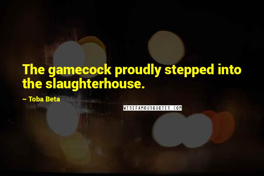 Toba Beta Quotes: The gamecock proudly stepped into the slaughterhouse.