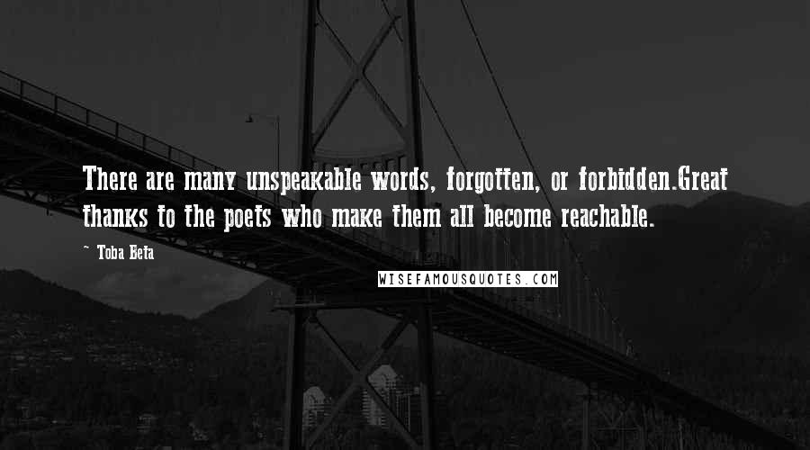 Toba Beta Quotes: There are many unspeakable words, forgotten, or forbidden.Great thanks to the poets who make them all become reachable.