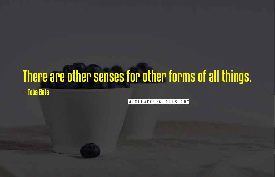 Toba Beta Quotes: There are other senses for other forms of all things.