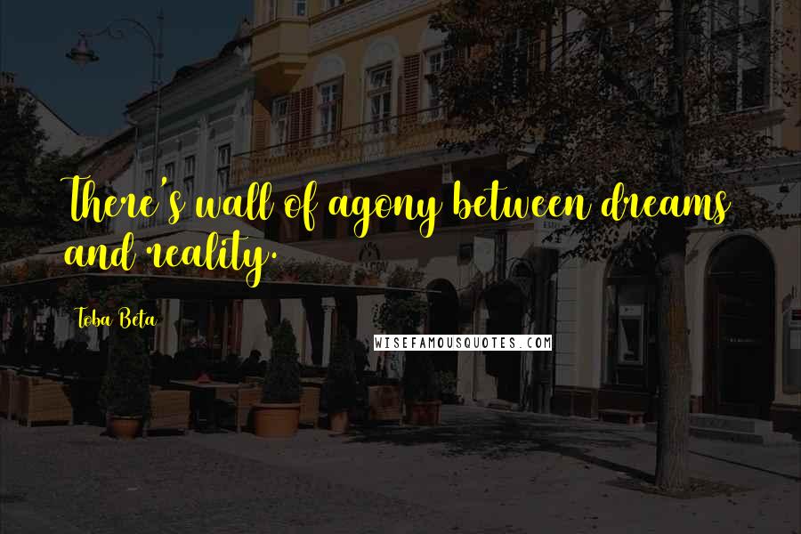 Toba Beta Quotes: There's wall of agony between dreams and reality.