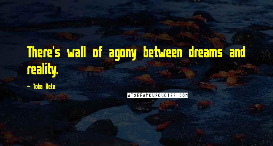 Toba Beta Quotes: There's wall of agony between dreams and reality.