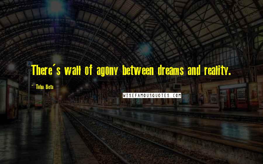 Toba Beta Quotes: There's wall of agony between dreams and reality.