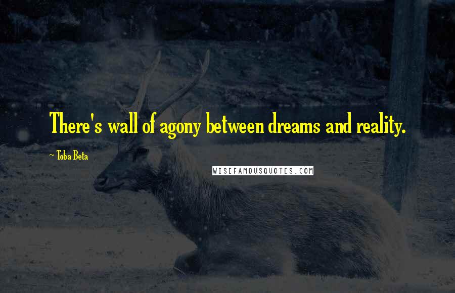 Toba Beta Quotes: There's wall of agony between dreams and reality.