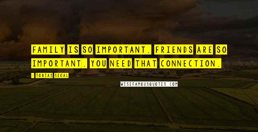 Tobias Segal Quotes: Family is so important. Friends are so important. You need that connection.