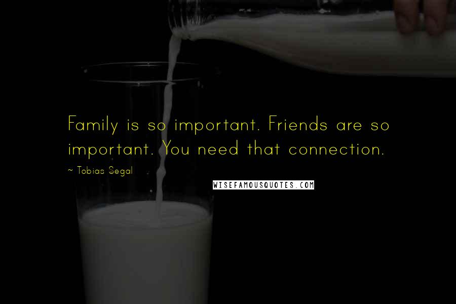 Tobias Segal Quotes: Family is so important. Friends are so important. You need that connection.