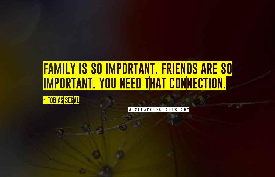 Tobias Segal Quotes: Family is so important. Friends are so important. You need that connection.