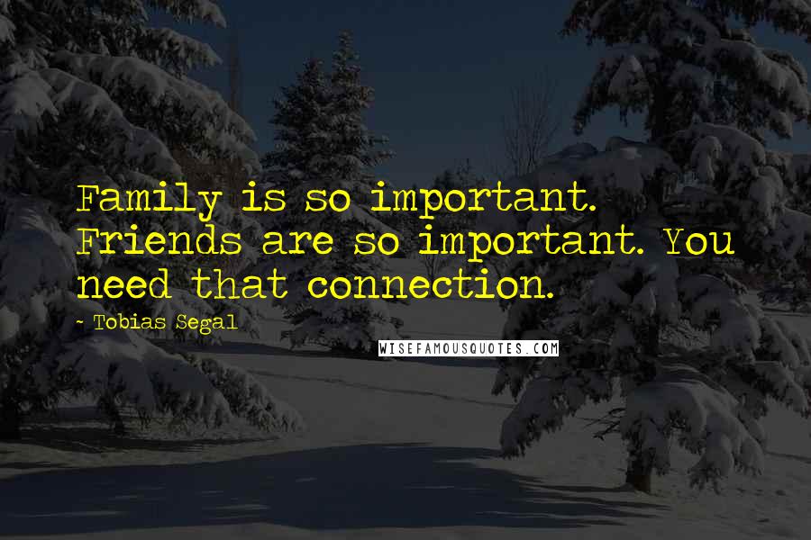 Tobias Segal Quotes: Family is so important. Friends are so important. You need that connection.