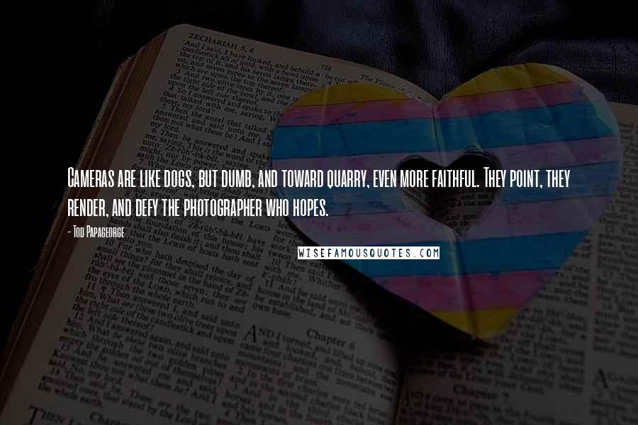 Tod Papageorge Quotes: Cameras are like dogs, but dumb, and toward quarry, even more faithful. They point, they render, and defy the photographer who hopes.