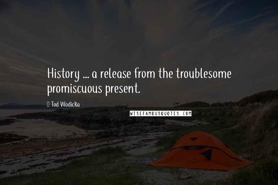 Tod Wodicka Quotes: History ... a release from the troublesome promiscuous present.