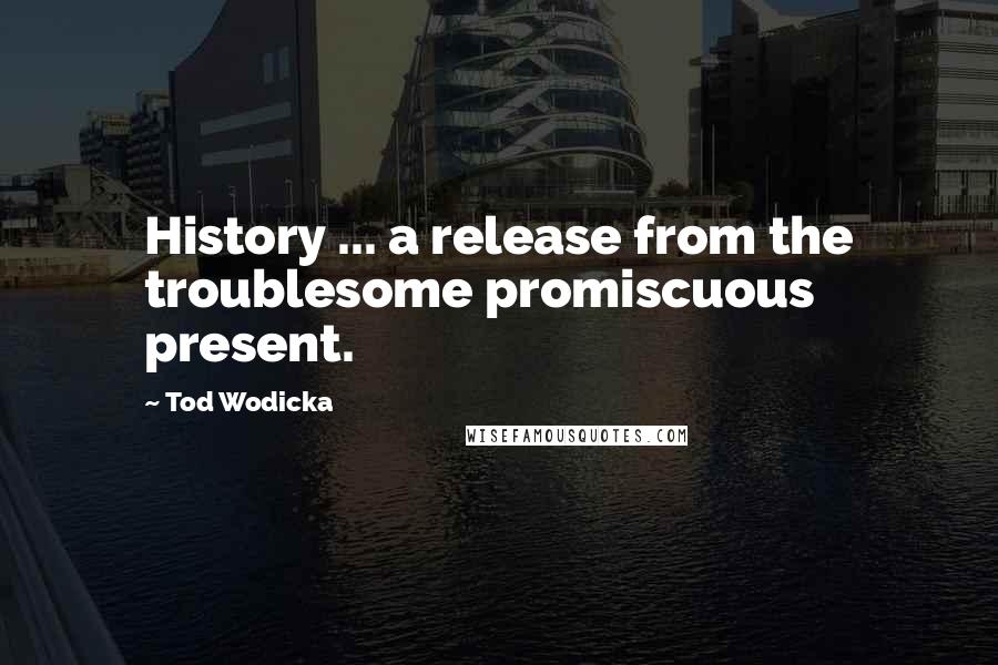 Tod Wodicka Quotes: History ... a release from the troublesome promiscuous present.