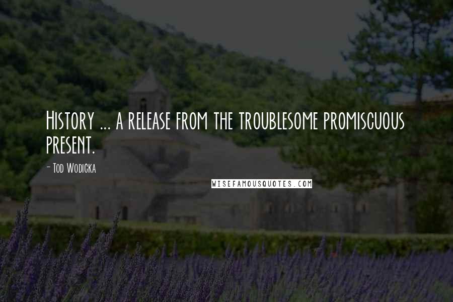 Tod Wodicka Quotes: History ... a release from the troublesome promiscuous present.