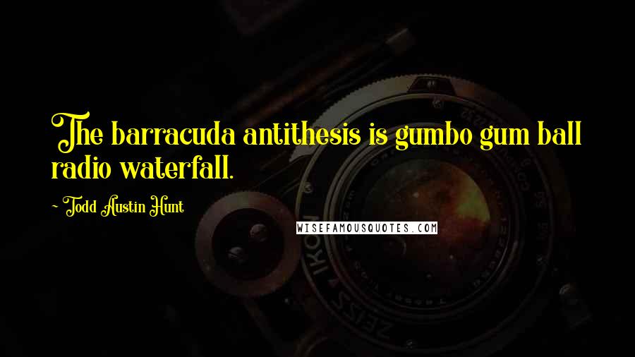 Todd Austin Hunt Quotes: The barracuda antithesis is gumbo gum ball radio waterfall.