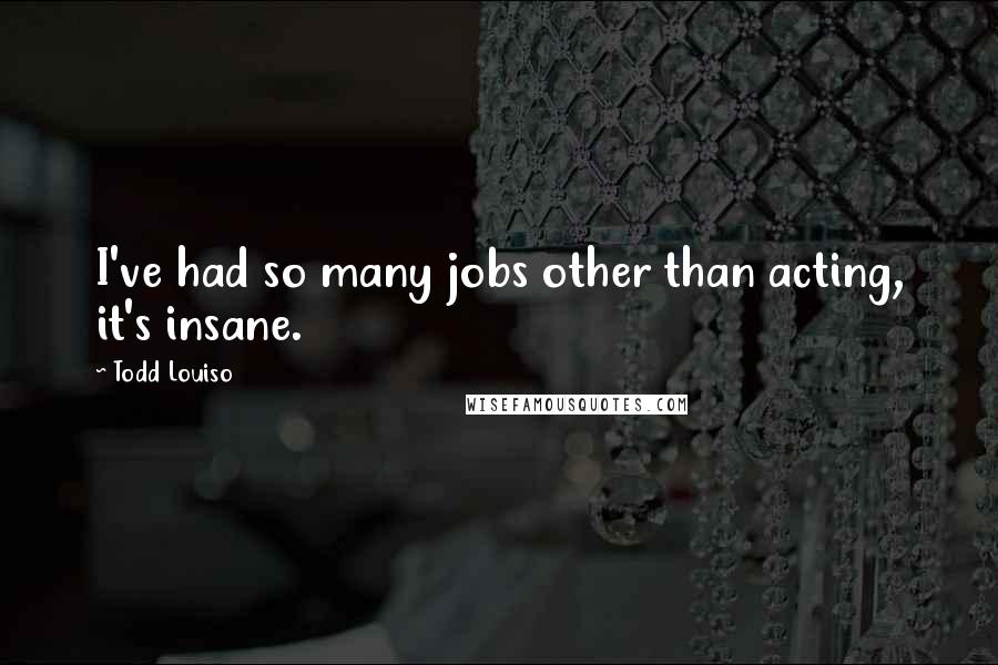 Todd Louiso Quotes: I've had so many jobs other than acting, it's insane.