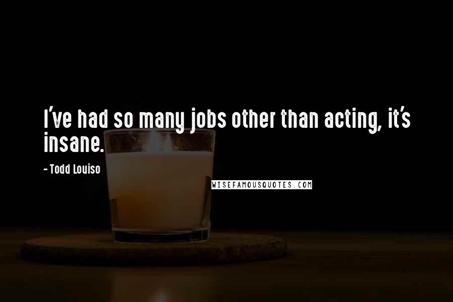 Todd Louiso Quotes: I've had so many jobs other than acting, it's insane.