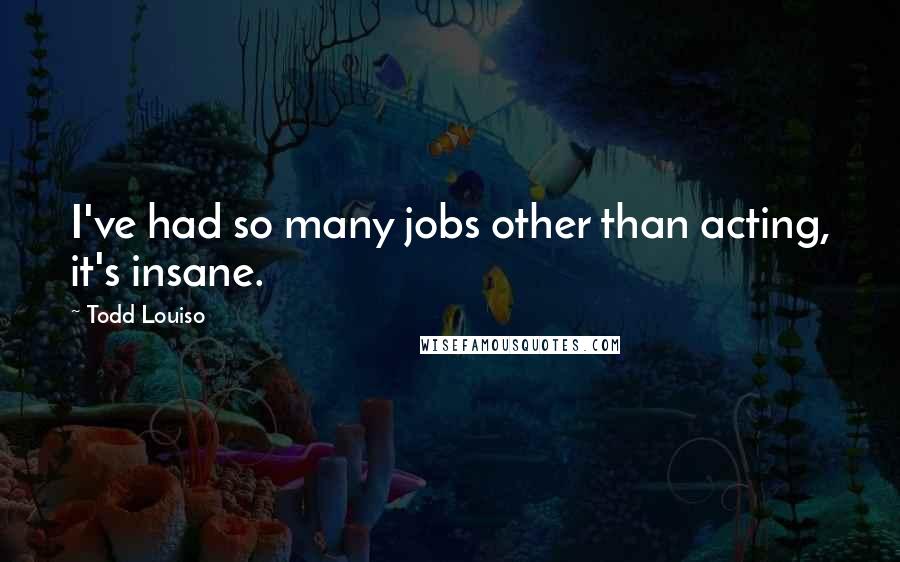 Todd Louiso Quotes: I've had so many jobs other than acting, it's insane.