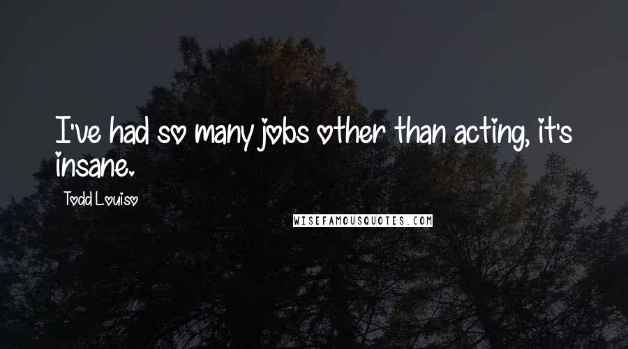 Todd Louiso Quotes: I've had so many jobs other than acting, it's insane.