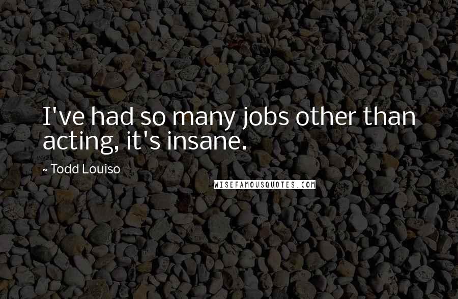 Todd Louiso Quotes: I've had so many jobs other than acting, it's insane.