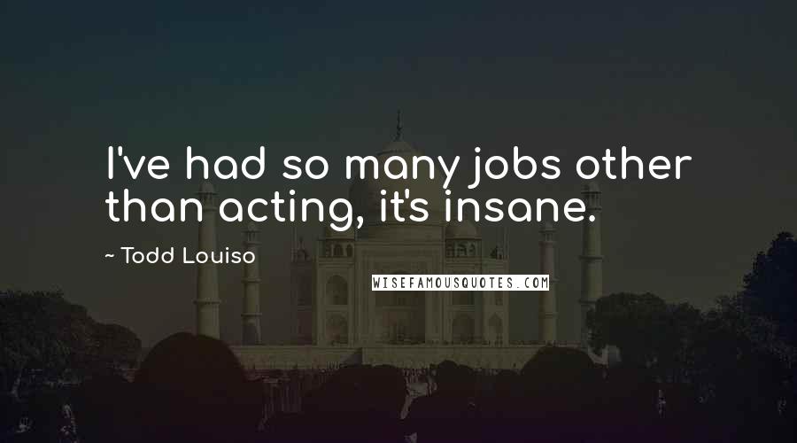 Todd Louiso Quotes: I've had so many jobs other than acting, it's insane.